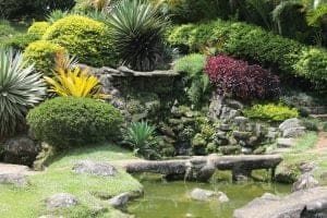 window cleaning landscaping