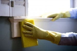 Window Cleaning