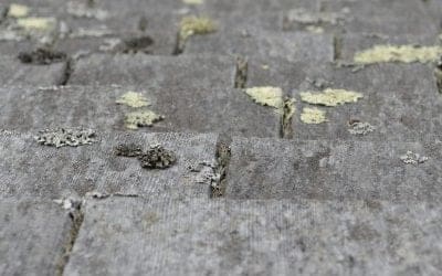 5 Reasons To Hire A Roof Cleaning Service in Chagrin Falls, OH