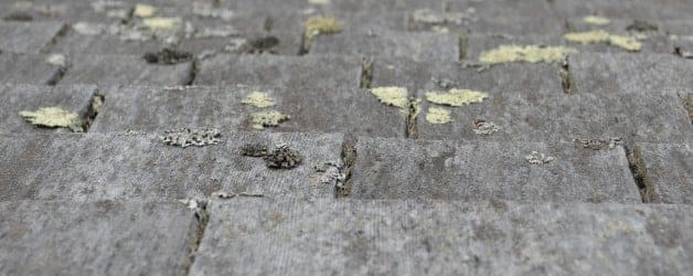5 Reasons To Hire A Roof Cleaning Service in Chagrin Falls, OH