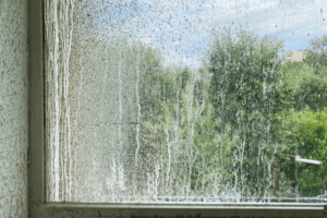 Close-up of dirty window.