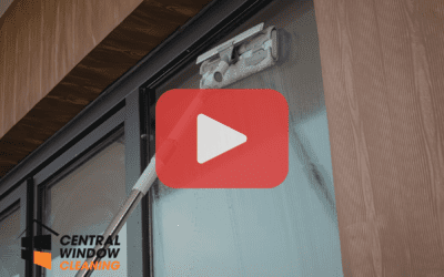 What to Expect From Professional Residential Window Cleaning